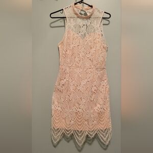 Angvyn Sleeveless Lace Overlay Dress